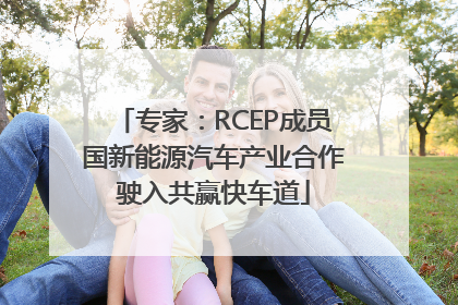 专家：RCEP成员国新能源汽车产业合作驶入共赢快车道