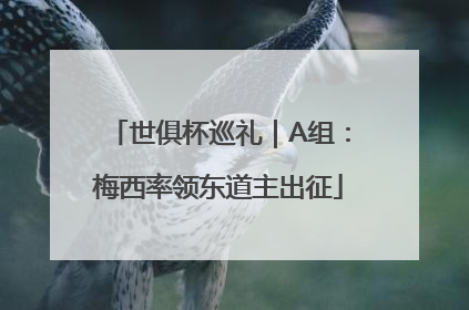 世俱杯巡礼｜A组：梅西率领东道主出征