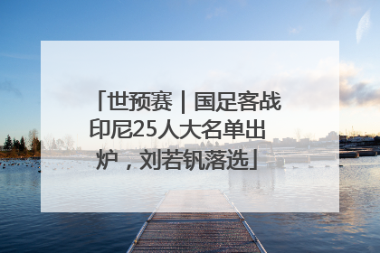世预赛｜国足客战印尼25人大名单出炉，刘若钒落选