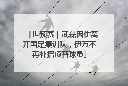 世预赛｜武磊因伤离开国足集训队，伊万不再补招顶替球员