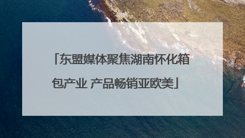 东盟媒体聚焦湖南怀化箱包产业 产品畅销亚欧美