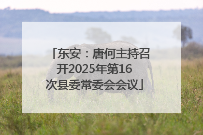 东安：唐何主持召开2025年第16次县委常委会会议