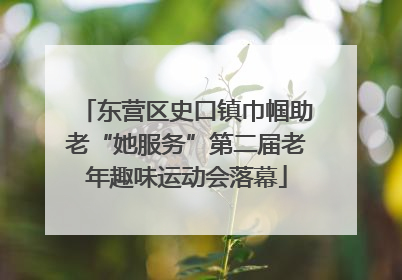 东营区史口镇巾帼助老“她服务”第二届老年趣味运动会落幕
