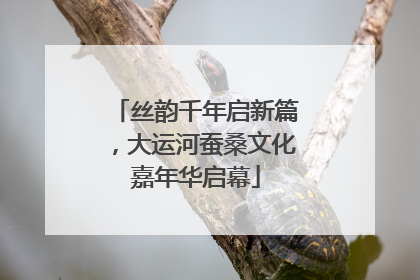 丝韵千年启新篇，大运河蚕桑文化嘉年华启幕