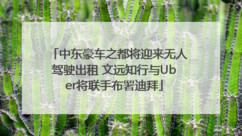 中东豪车之都将迎来无人驾驶出租 文远知行与Uber将联手布署迪拜