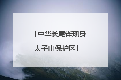 中华长尾雀现身太子山保护区
