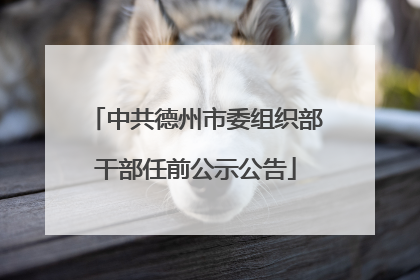 中共德州市委组织部干部任前公示公告