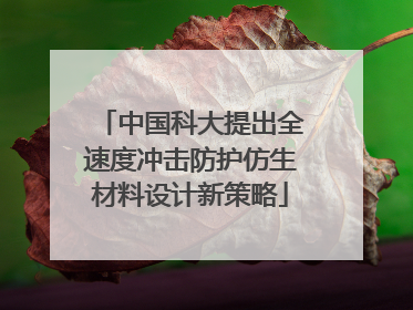 中国科大提出全速度冲击防护仿生材料设计新策略