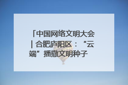 中国网络文明大会｜合肥庐阳区：“云端”播撒文明种子 共建清朗网络空间