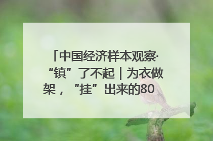 中国经济样本观察·“镇”了不起｜为衣做架，“挂”出来的80亿元“衣架产业”