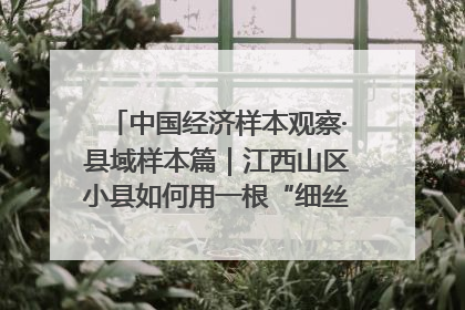 中国经济样本观察·县域样本篇｜江西山区小县如何用一根“细丝”拉出百亿级产业？