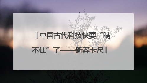 中国古代科技快要“瞒不住”了——新莽卡尺