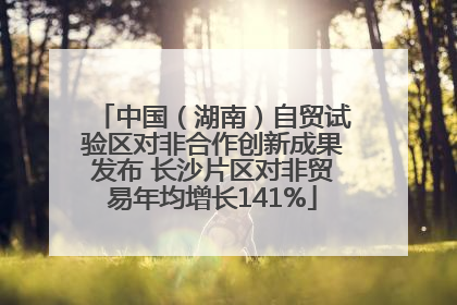 中国（湖南）自贸试验区对非合作创新成果发布 长沙片区对非贸易年均增长141%