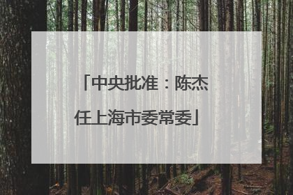 中央批准：陈杰任上海市委常委