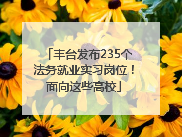 丰台发布235个法务就业实习岗位！面向这些高校
