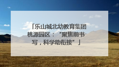 乐山城北幼教育集团桃源园区：“聚焦前书写，科学助衔接”
