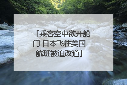 乘客空中欲开舱门 日本飞往美国航班被迫改道