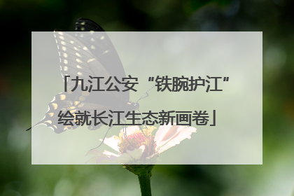 九江公安“铁腕护江”绘就长江生态新画卷