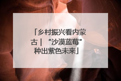 乡村振兴看内蒙古｜“沙漠蓝莓”种出紫色未来