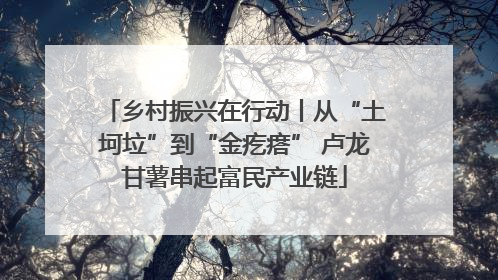 乡村振兴在行动丨从“土坷垃”到“金疙瘩” 卢龙甘薯串起富民产业链