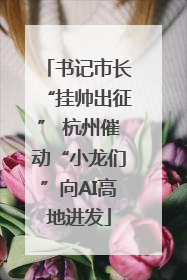 书记市长“挂帅出征” 杭州催动“小龙们”向AI高地进发
