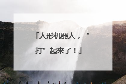 人形机器人，“打”起来了！