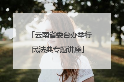云南省委台办举行民法典专题讲座