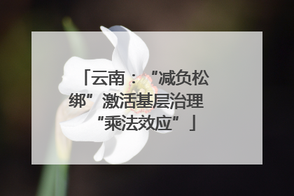 云南：“减负松绑”激活基层治理“乘法效应”