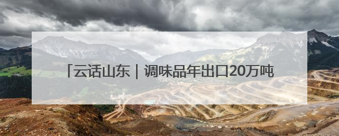 云话山东｜调味品年出口20万吨！乐陵连打新“牌”助力企业出海