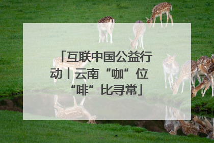 互联中国公益行动丨云南“咖”位“啡”比寻常