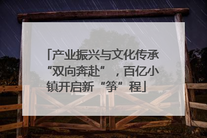 产业振兴与文化传承“双向奔赴”，百亿小镇开启新“筝”程