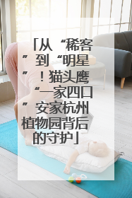 从“稀客”到“明星”！猫头鹰“一家四口”安家杭州植物园背后的守护