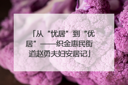 从“忧居”到“优居”——织金惠民街道赵勇夫妇安居记
