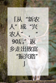 从“新农人”成“兴农人”，“90后”返乡走出致富“振兴路”