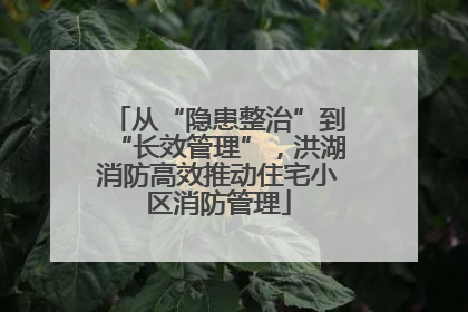 从“隐患整治”到“长效管理”，洪湖消防高效推动住宅小区消防管理