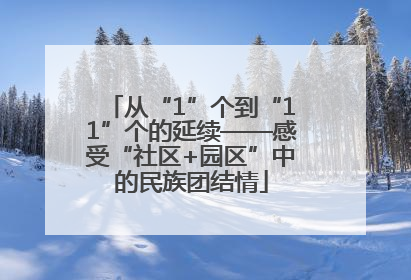 从“1”个到“11”个的延续——感受“社区+园区”中的民族团结情