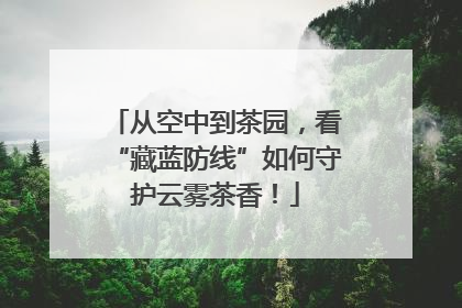 从空中到茶园，看“藏蓝防线”如何守护云雾茶香！