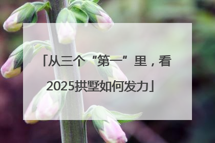 从三个“第一”里，看2025拱墅如何发力