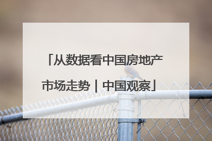 从数据看中国房地产市场走势｜中国观察