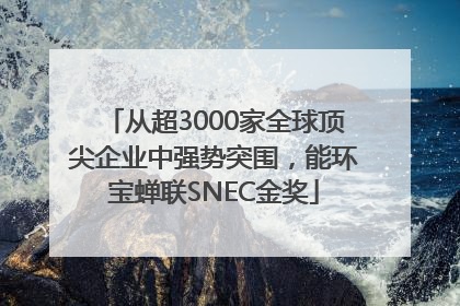 从超3000家全球顶尖企业中强势突围，能环宝蝉联SNEC金奖