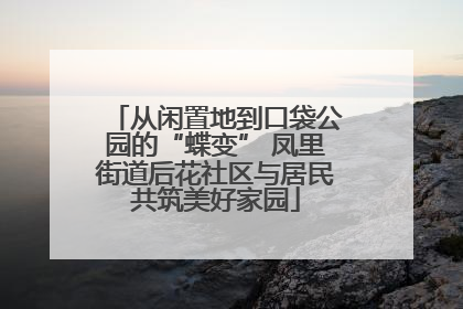 从闲置地到口袋公园的“蝶变” 凤里街道后花社区与居民共筑美好家园