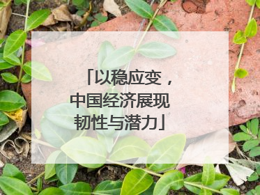 以稳应变，中国经济展现韧性与潜力
