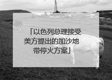 以色列总理接受美方提出的加沙地带停火方案