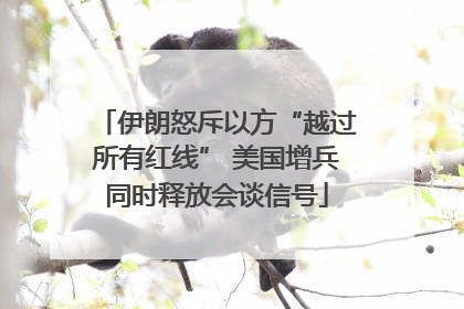 伊朗怒斥以方“越过所有红线” 美国增兵同时释放会谈信号