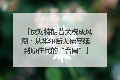 反对特朗普关税成风潮：从华尔街大佬蔓延到原住民的“合围”