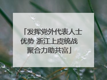 发挥党外代表人士优势 浙江上虞统战聚合力助共富