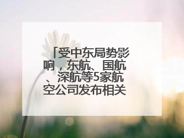 受中东局势影响，东航、国航、深航等5家航空公司发布相关航线退改政策