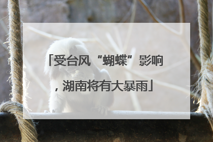 受台风“蝴蝶”影响，湖南将有大暴雨