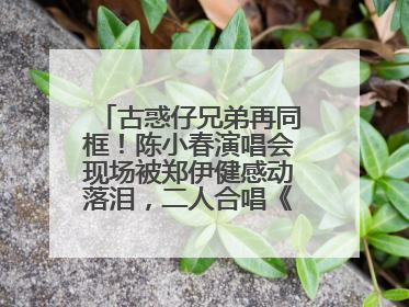 古惑仔兄弟再同框！陈小春演唱会现场被郑伊健感动落泪，二人合唱《一起冲一起闯》再现青春回忆