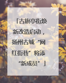 古旗亭街焕新改造启动，扬州古城“网红街巷”将添“新成员”